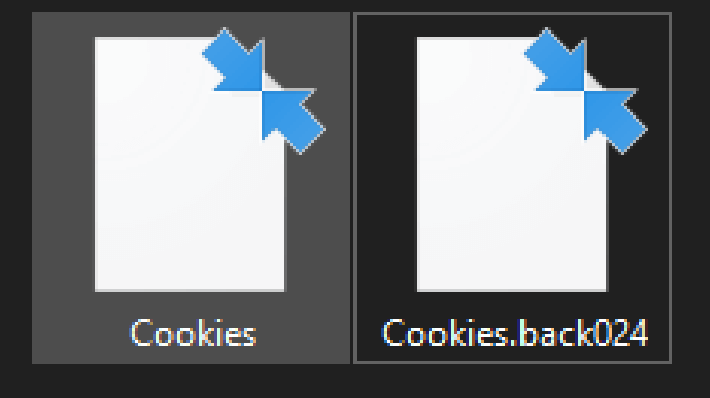 หน้าตาของไฟล์ Cookie ในเครื่องคอมพิวเตอร์